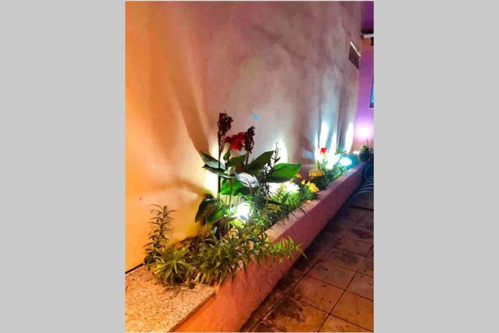 Ionian Stylish Apartment Preveza Marina Exterior foto